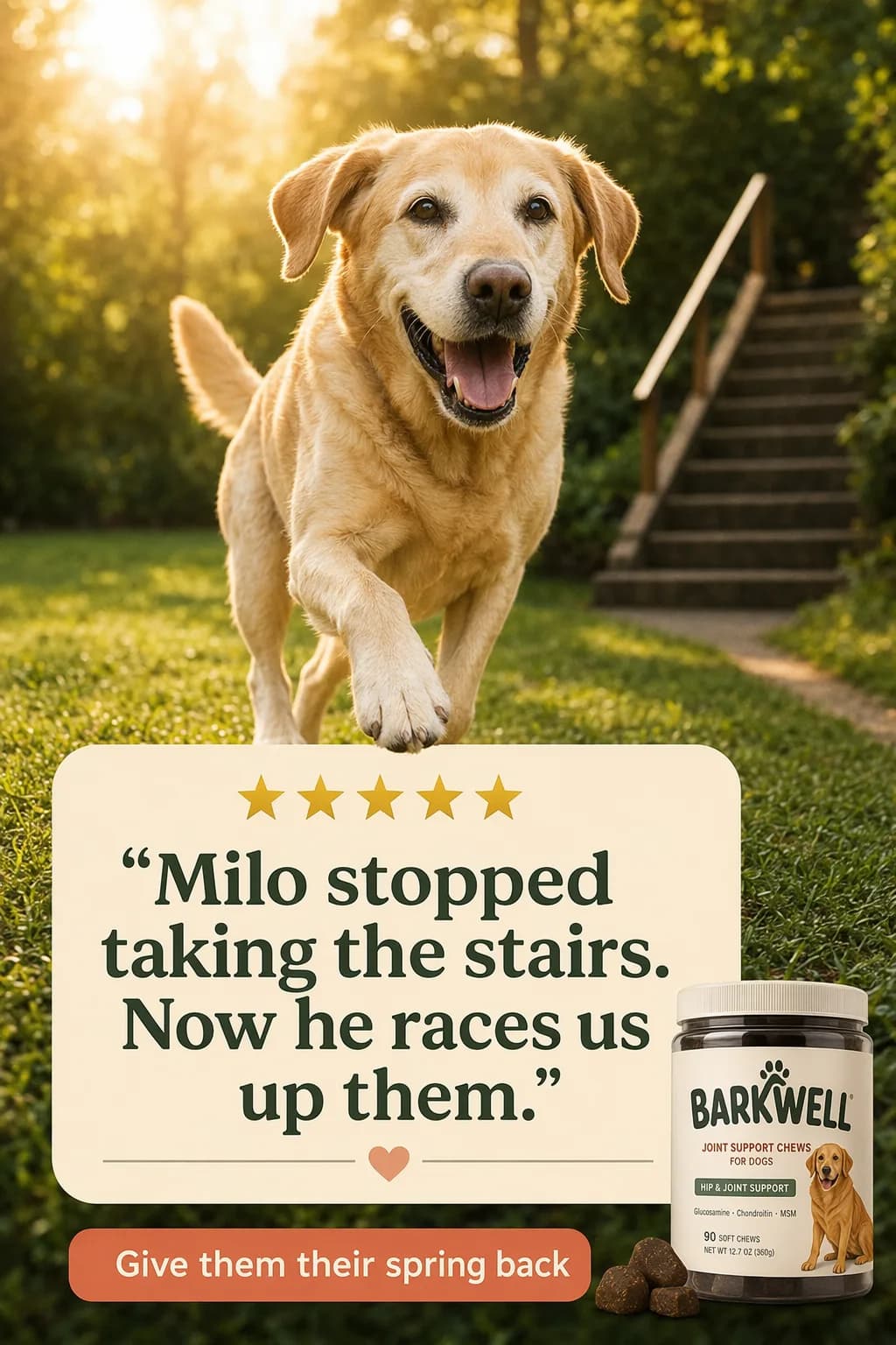 BARKWELL reklam kreatifi